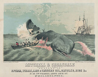 Mitchell & Croasdale, successors to G.W. Ridgway & Co., dealers in sperm, whale, lard, & tanners oil, candles, rice, &c. No. 30 n[or]th wharves, above Arch St. Philadelphia, [1856]