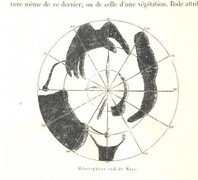 British Library digitised image from page 546 of "L'Espace cÃ©leste et la nature tropicale, description physique de l'univers ... prÃ©face de M. Babinet, dessins de Yan' Dargent"