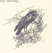 British Library digitised image from page 110 of "Otto of the Silver Hand. Written and illustrated by H. Pyle"