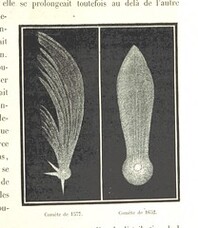 British Library digitised image from page 305 of "L'Espace cÃ©leste et la nature tropicale, description physique de l'univers ... prÃ©face de M. Babinet, dessins de Yan' Dargent"
