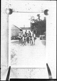 Man with team of horses n.d.