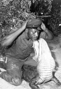 African American man wrestling an alligator at the St. Augustine Alligator Farm