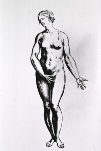Anatomy - Artistic