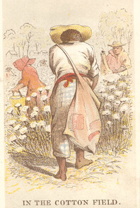 In The Cotton Field., ca. 1863