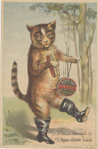 American Chemical Mfg. & Mining Co.