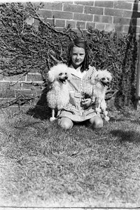 Poodles, 1935, by Sam Hood