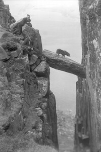 Grey Man's Path