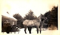 Horse and Sleigh at the Cloyne Hall