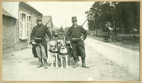 Mitrailleurs van het 7de Linieregiment poseren met hun honden | Machine gunners of the Belgian 7th Infantry Regiment pose with their dogs