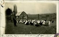 Graham McNee feeding hens, April 1, 1925