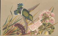 S.M. Tinkham & Son