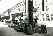 Outdoor Market on Merrick Street, 1890s