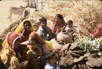 Rajasthan, India