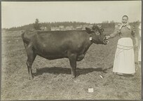 I.K Inha: Finnish Agriculture D2000_48_251