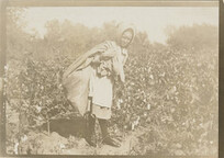 NMFF.003474