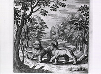 Woodland scene with lions