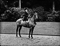 Miss Joan Musgrave, elder, on horse, hair stripe in coat