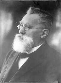 Hjalmar Robert Mellin, professor of mathematics