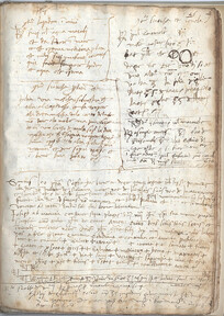 Medicinal and Culinary Miscellany
