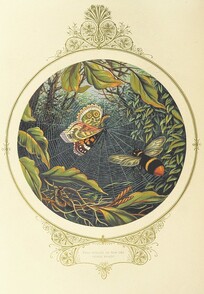 British Library digitised image from page 34 of "Fairy Mary's Dream. By A. F. L. With illustrations by the Author"