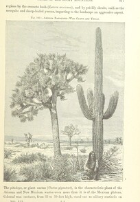 British Library digitised image from page 507 of "The Earth and its Inhabitants. The European section of the Universal Geography by E. Reclus. Edited by E. G. Ravenstein. Illustrated by ... engravings and maps"