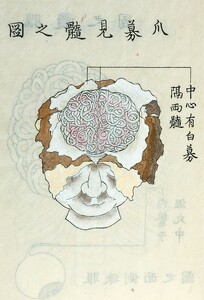 ShoÌ„bo ken sui no zu