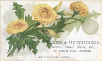Tucker & Hutchinson