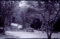 CAL13068.JPG