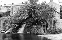 Old water wheel in Moville.