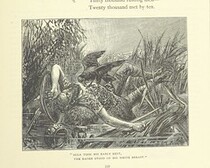 British Library digitised image from page 361 of "Illustrated British Ballads, old and new. Selected and edited by G. B. Smith"