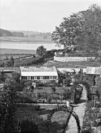 Mrs. Murphy's back garden