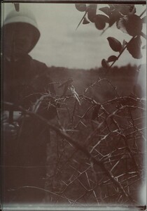 Jorma Gallen-Kallela looking at a lizard with a cricket in itâ€™s mouth, impaled by a thorn from an acasia bush.