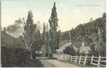 South Hobart - McRobie's Gully - hand-coloured postcard - c1900s