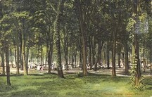 Picnic Grove