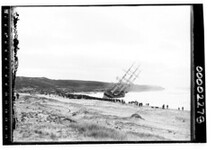 Hundreds of onlookers watch as the wreck of the HEREWARD is pounded by waves on the shoreline of Maroubra Beach