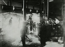Women loading nitrate of soda into a skip
