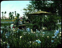 Iris garden beside water; wooden bridge to small roofed island; two women in Kimonos on bridge and one standing among flowers.