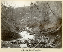 Chedoke Ravine