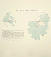 Diagram of the causes of mortality in the Army in the East