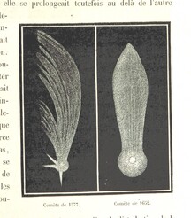 British Library digitised image from page 305 of "L'Espace cÃ©leste et la nature tropicale, description physique de l'univers ... prÃ©face de M. Babinet, dessins de Yan' Dargent"