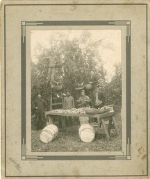 Apple Harvest, c. 1890-1900