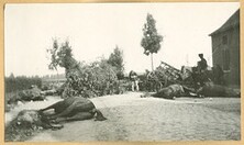 Het slagveld bij Halen, 13 augustus 1914 | The battlefield at Halen, 13 August 1914