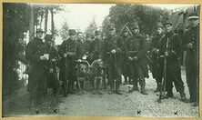 Een mitrailleurssectie van het 7de Linieregiment poseert met de honden | A machine gun section of the 7th Infantry Regiment poses with their dogs