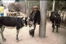 Xinjiang, China