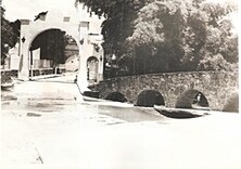 Image (1)