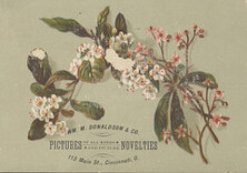 Wm. M. Donaldson & Co.