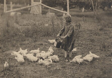 Winnie feeding chickens, 1920