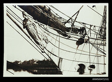 Figurehead of the iron hulled sailing ship BEATRICE