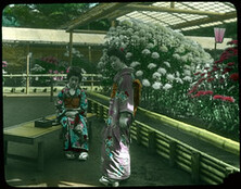 Two young women in Kimonos, one standing, one seated on wooden bench outside open greenhouses filled with blooming flowers.