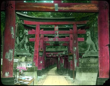Series of red wooden gateways; stone animals on pedestals between first and second gateway.